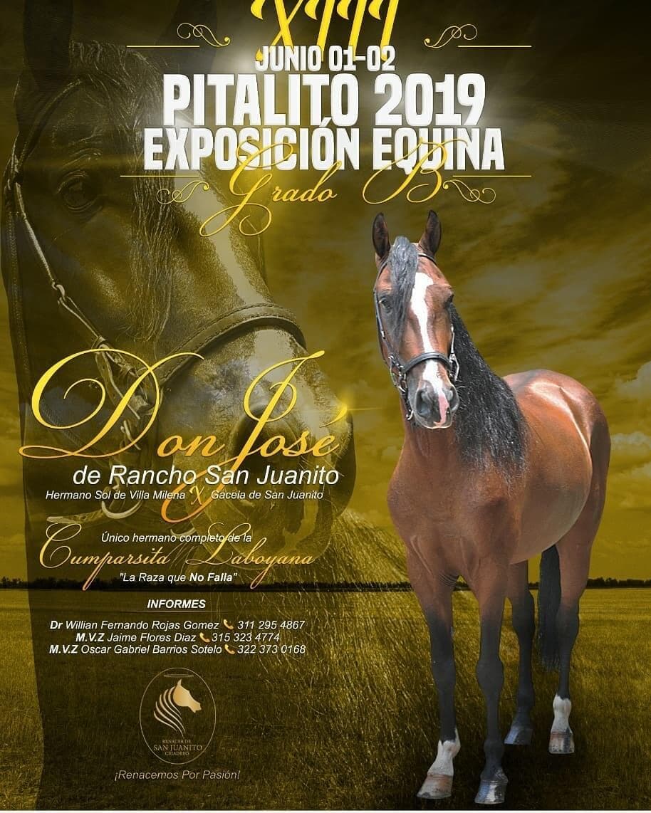 Don José de Rancho San Juanito