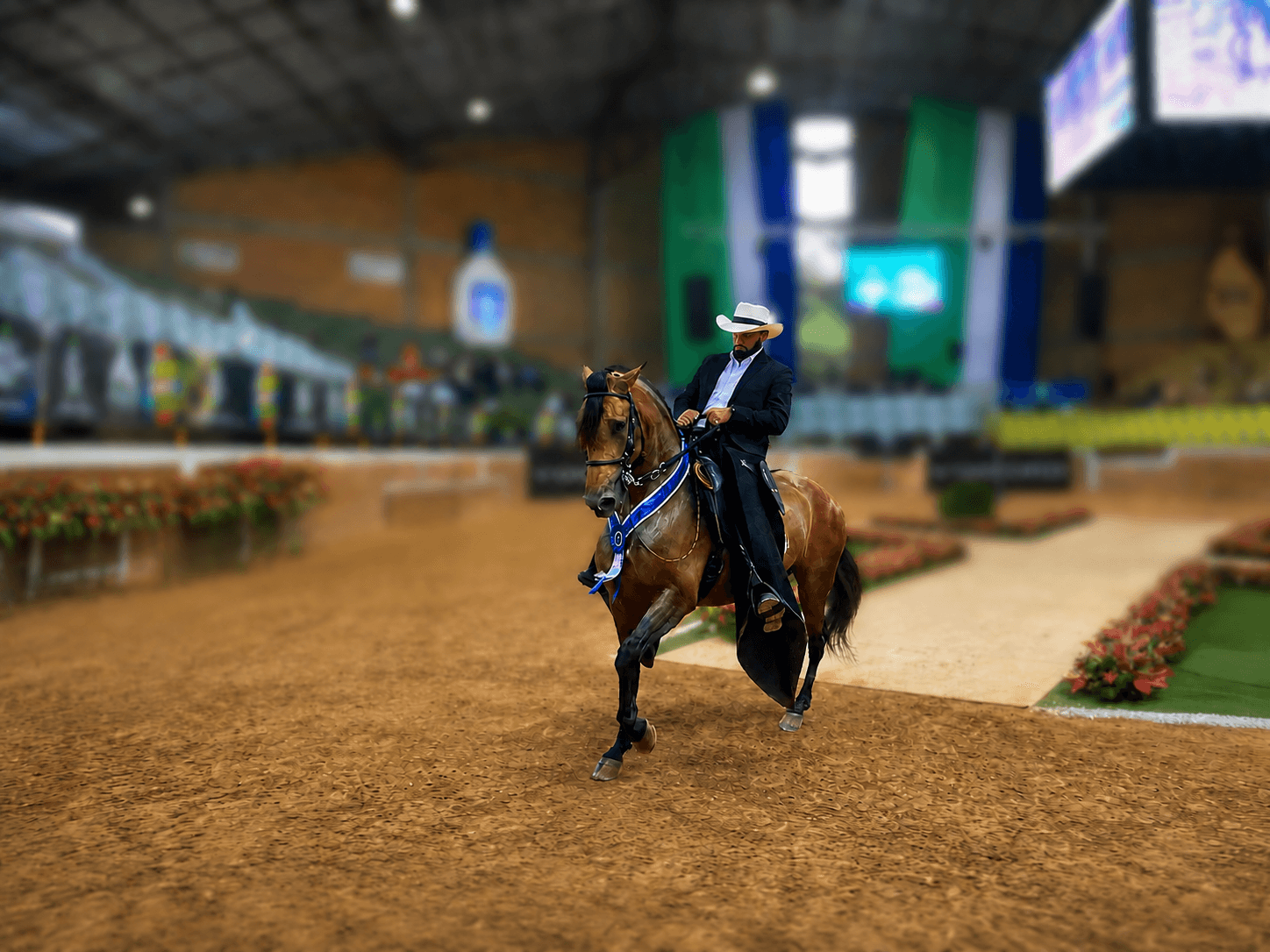 Jinete con caballo de paso premiado en feria equina